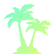 Lush Coconut Plantation