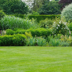 Landscaped Gardens